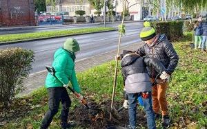 Akcja sadzenia wiązów górskich (7)