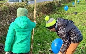 Akcja sadzenia wiązów górskich (12)