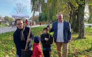 Akcja sadzenia wiązów górskich (4)