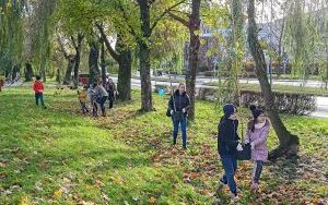 Akcja sadzenia wiązów górskich (5)