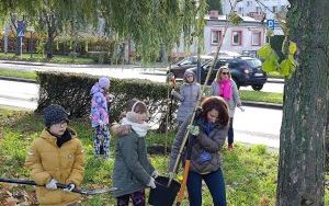 Akcja sadzenia wiązów górskich (6)