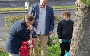 Akcja sadzenia wiązów górskich (7)