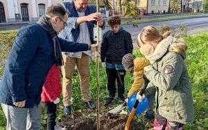 Akcja sadzenia wiązów górskich (8)