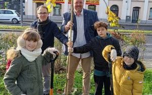 Akcja sadzenia wiązów górskich (9)