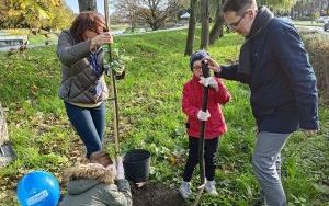 Akcja sadzenia wiązów górskich (13)