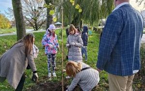 Akcja sadzenia wiązów górskich (3)