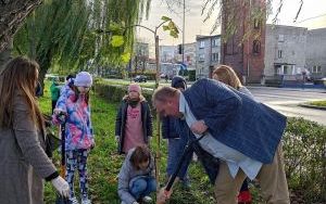 Akcja sadzenia wiązów górskich (4)