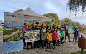 Akcja sadzenia wiązów górskich (11)