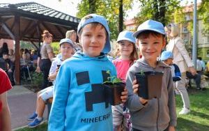 Ogród Jordan (7)