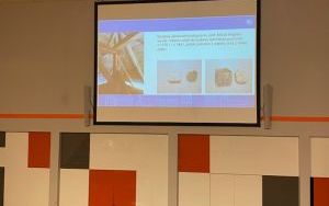 Zdjęcia z konferencji w Górnośląskim Parku Etnograficznym w Chorzowie (5)