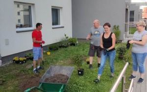 Zielone sasiedztwo 2023 (4)