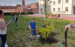 Zielone sasiedztwo 2023 (8)