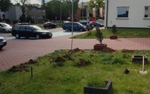 Zielone sasiedztwo 2023 (3)