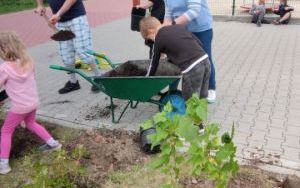 Zielone sasiedztwo 2023 (6)