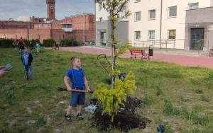Zielone sasiedztwo 2023 (14)