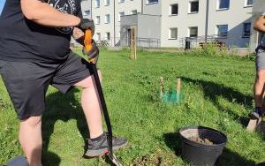 Zielone sasiedztwo 2023 (7)