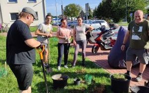 Zielone sasiedztwo 2023 (8)