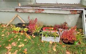 Ogoódek skalny z miejscem relaksu i odpoczynku ze stojakami na rowery (3)