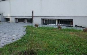 Gry podworkowe (1)