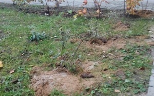 Gry podworkowe (8)