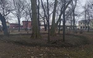 Warkocze w Parku im. kpt. Franciszka Stala (6)
