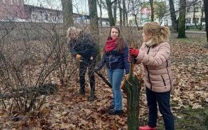 Warkocze w Parku im. kpt. Franciszka Stala (2)