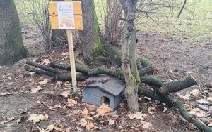 Warkocze w Parku im. kpt. Franciszka Stala (6)