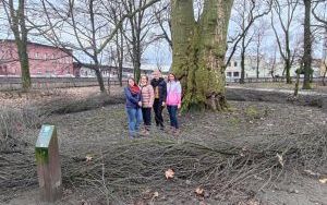 Warkocze w Parku im. kpt. Franciszka Stala (8)