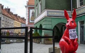 Zeszłoroczne dekoracje świąteczne (1)