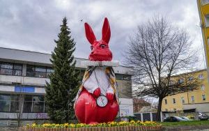 Zeszłoroczne dekoracje świąteczne (2)