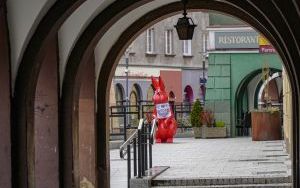 Zeszłoroczne dekoracje świąteczne (3)