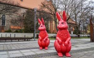 Zeszłoroczne dekoracje świąteczne (4)