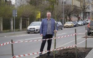 Przy Szkole Muzycznej w Raciborzu pojawiły się nowe nasadzenia (9)