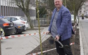 Przy Szkole Muzycznej w Raciborzu pojawiły się nowe nasadzenia (11)