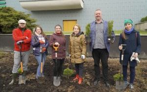 Przy Szkole Muzycznej w Raciborzu pojawiły się nowe nasadzenia (15)