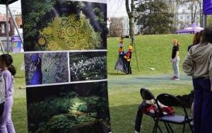 Moc atrakcji na pikniku z okazji powitania wiosny (3)