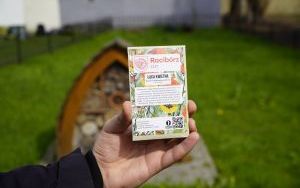 Moc atrakcji na pikniku z okazji powitania wiosny (2)
