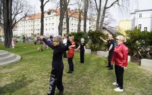 Moc atrakcji na pikniku z okazji powitania wiosny (4)