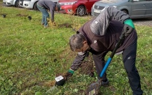 Przywracamy zielone podwórze w środku miasta (6)