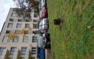 Przywracamy zielone podwórze w środku miasta (8)