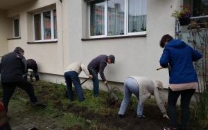 Przywracamy zielone podwórze w środku miasta (11)