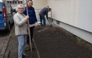 Przywracamy zielone podwórze w środku miasta (12)