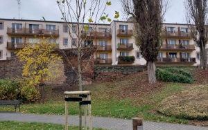  Z dziejów kultury Raciborza - sławni muzycy od XVII do XX stulecia (11)