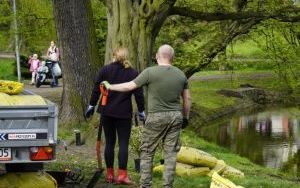 50 różaneczników przyozdobiło Park Roth (4)