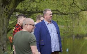 50 różaneczników przyozdobiło Park Roth (8)