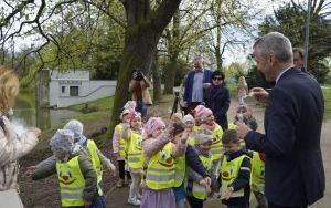50 różaneczników przyozdobiło Park Roth (10)