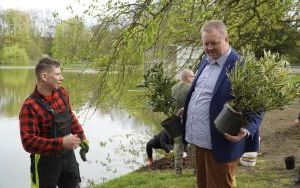 50 różaneczników przyozdobiło Park Roth (11)