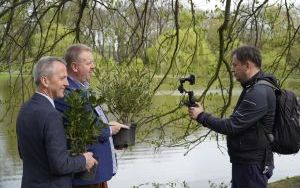 50 różaneczników przyozdobiło Park Roth (13)