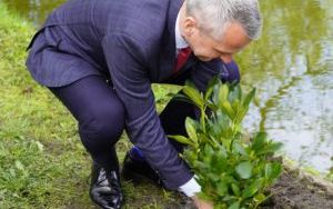 50 różaneczników przyozdobiło Park Roth (20)