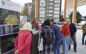 Raciborzanie mogą już korzystać z pięknej tężni na Ostrogu (1)